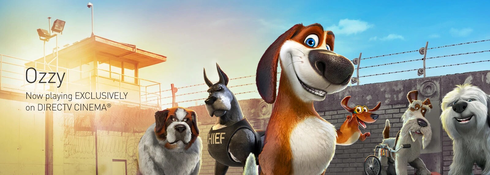 Watch Movies Online Stream Movies On Demand DIRECTV