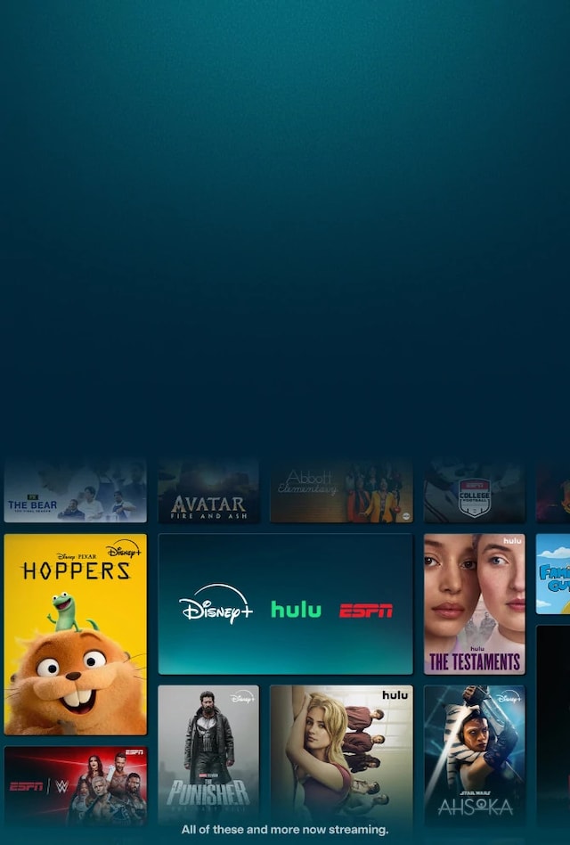Add-On channels on DIRECTV.