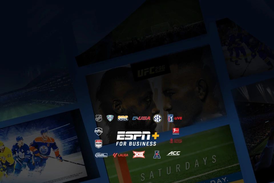 DIRECTV FOR BUSINESS