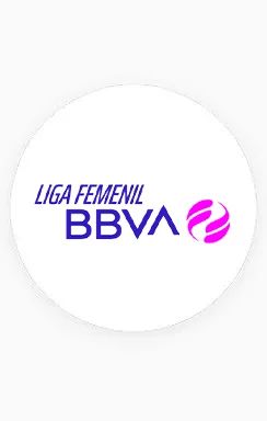 LIGAFEMENILBBVA