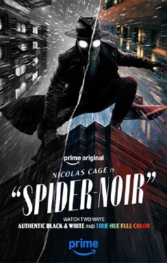 Spider Noir
