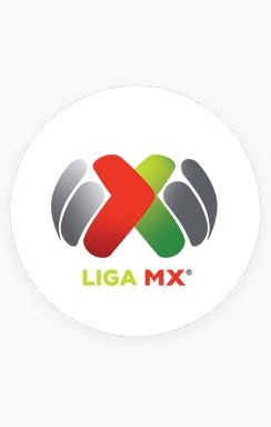LIGAMX