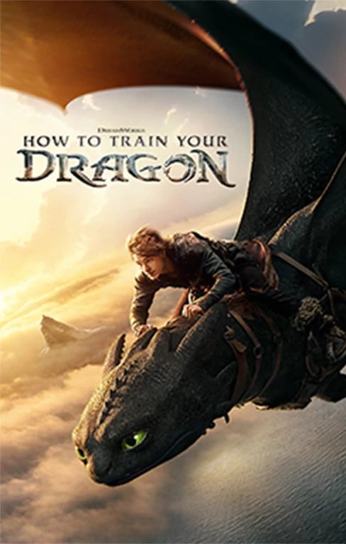 How To Train Your Dragon