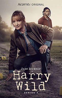 Harry Wild on Acorn TV