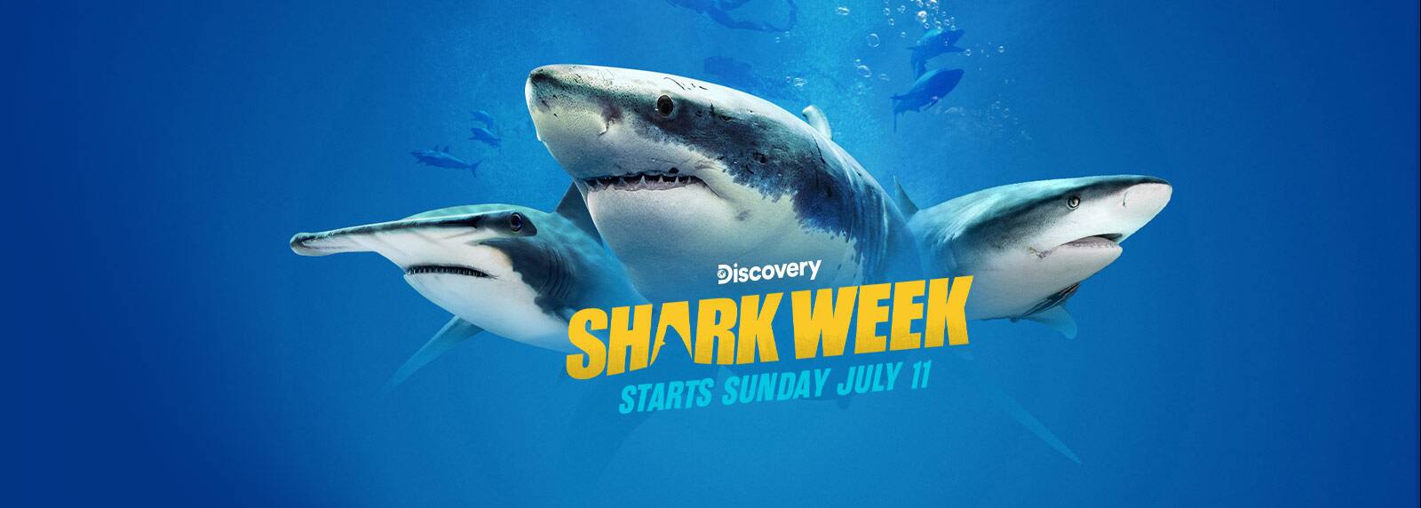 Shark Week TV Shows, Programs, Movies & Events DIRECTV