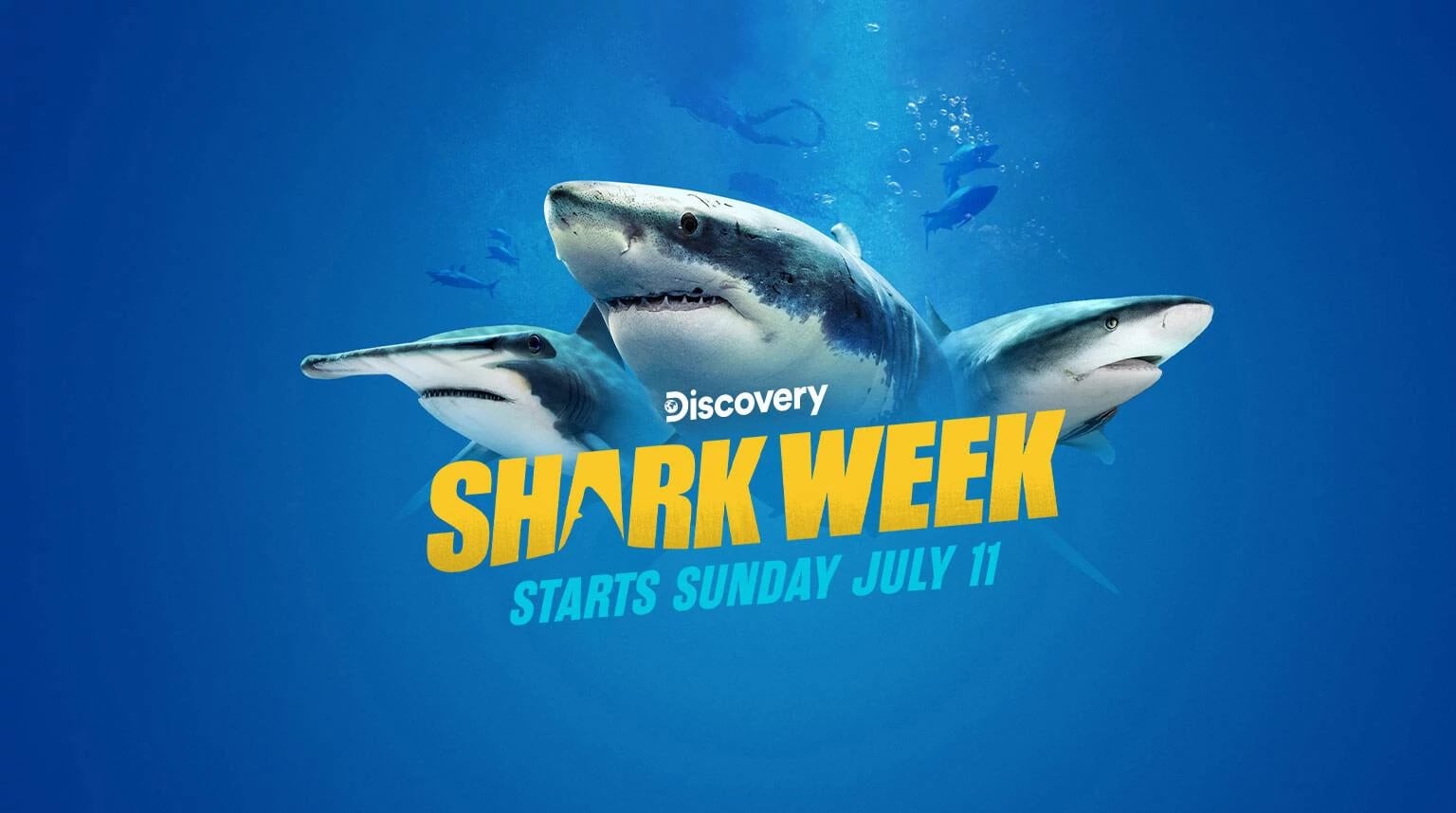 Shark Week: TV Shows, Programs, Movies & Events | DIRECTV