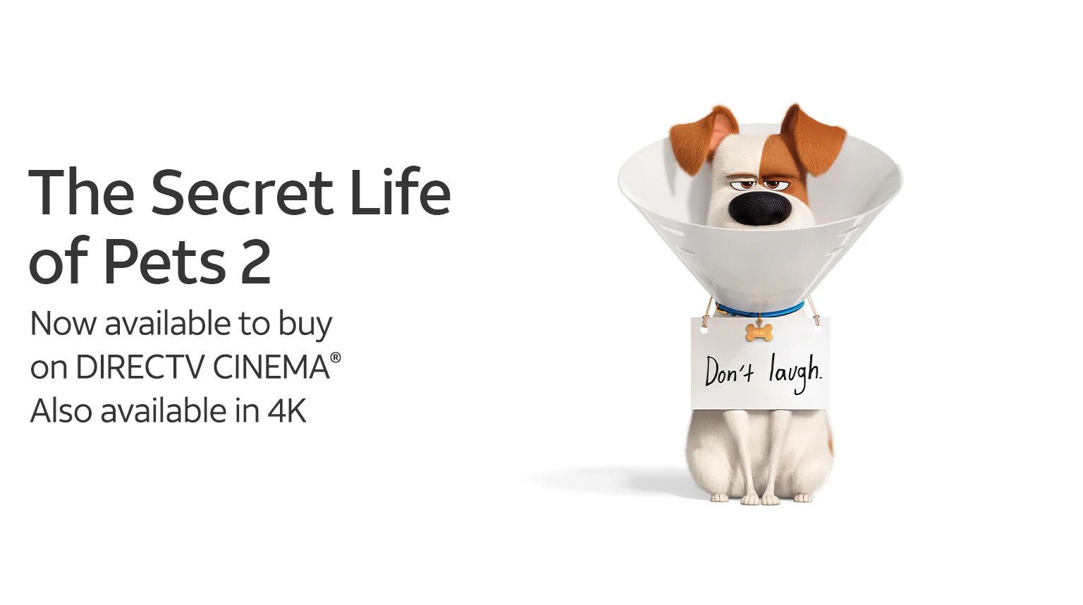 Horrorfest Watch Halloween Movies Online & On Demand Available from