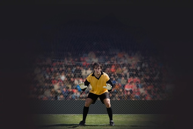 DIRECTV FOR BUSINESS international sports