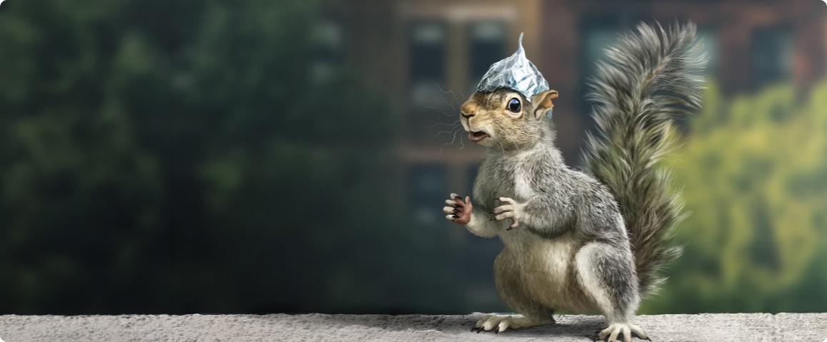 Tammy the squirrel