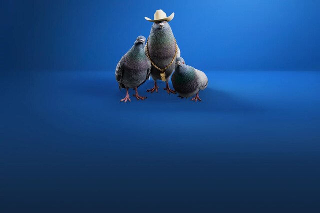 directv PIGEONS